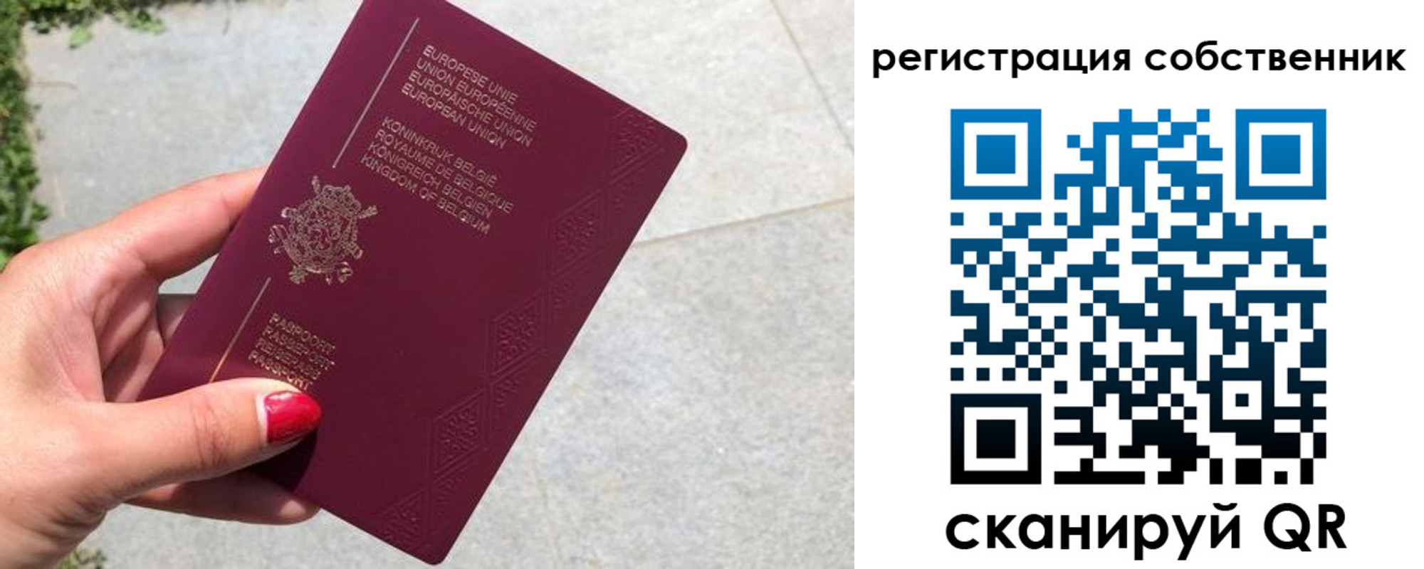 временная регистрация поиск в Старом Осколе